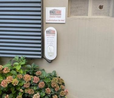 Wuppertal Apartment | Ringeltaube , Wohnen wie zuhause