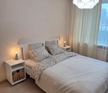 Business District Apartment | Rinktinės apartments