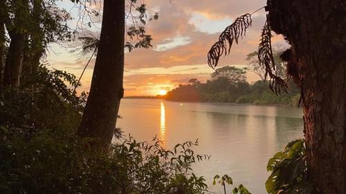Dominical Hotel | Rio Lindo Hotel