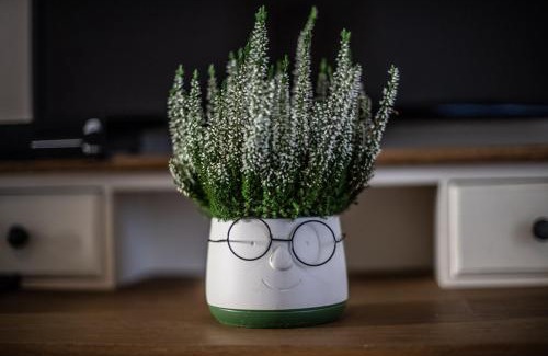 Repubblica Apartment | Rione Monti Home