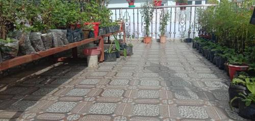 Darjeeling House | RISE N SHINE HOMESTAY