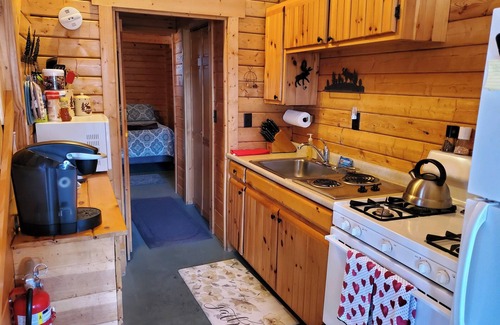 Lyndonville Cabin | River Bend Cabin Moose