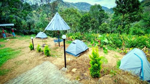 Kunchithanny Hotel | River Misty Munnar