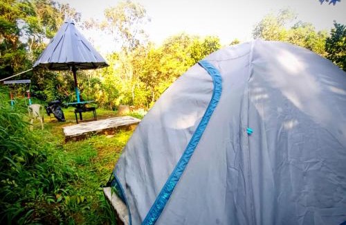 Kunchithanny Hotel | River Misty Munnar