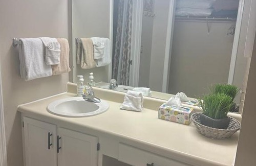 Pigeon Forge House | River Place Condos #401 2BD