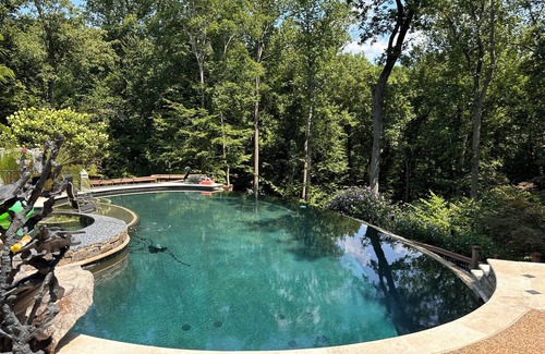 Fredericksburg House | "River Rock Villa: Privacy, Infinity Pool, River Hiking Where Luxury Awaits You"