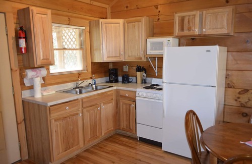 Damascus Cabin | River Trail Cabin #2 Cabin on Creeper Trail and Laurel Creek