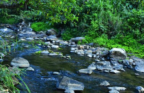 Stuart Hill Resort | River Valley Retreat Coorg