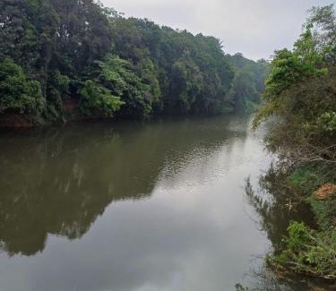 Mananthavady Villa | River Valley service villa