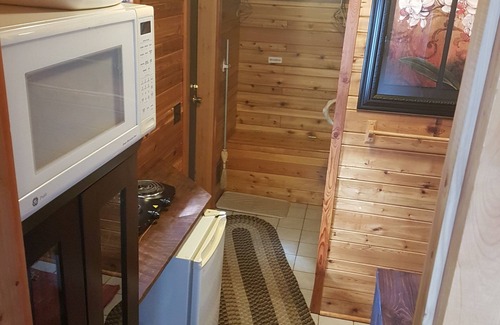 Beaverdell Cabin | Riverside Cabin with Wood Fired Sauna on the Kettle River. Pet friendly.