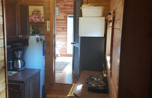 Beaverdell Cabin | Riverside Cabin with Wood Fired Sauna on the Kettle River. Pet friendly.