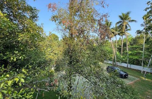Denkanikota House | Riverside Private Pool Villa in Kochi - Ohstayz Whispering Grove
