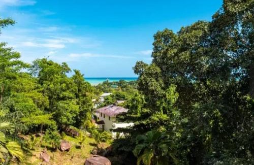 Mahe Island Apartment | RIVERSIDE RETREAT (SEYCHELLES)