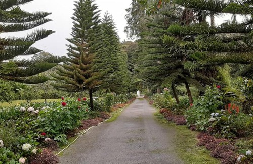 Tanah Rata Villa | Riverview Vacation Bungalow, Cameron Highlands