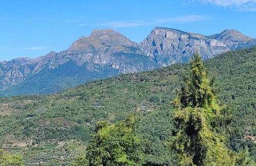 Bajardo Apartment | Rocca Fiorita
