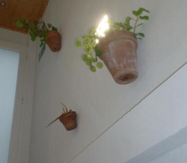 El Rocio House | Rocio Rooms