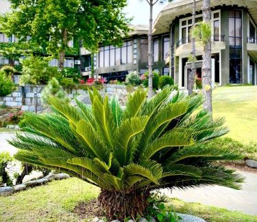 Sangota Hotel | Rock City Resort