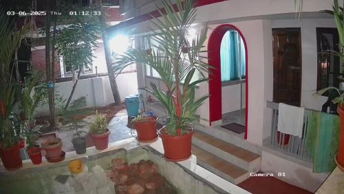 Kovalam Hotel | Rock View Palace Lighthouse Beach Resort