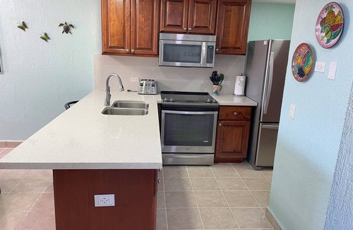 Puerto Penasco Condo | RockyCondo - Princesa C-303 Beach Front 2Bdrm 2Bath Condo