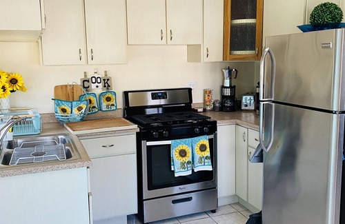 Mata de Platano Apartment | Rocky’s place in Luquillo