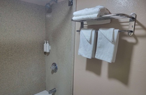 Memphis Hotel | Rodeway Inn Memphis