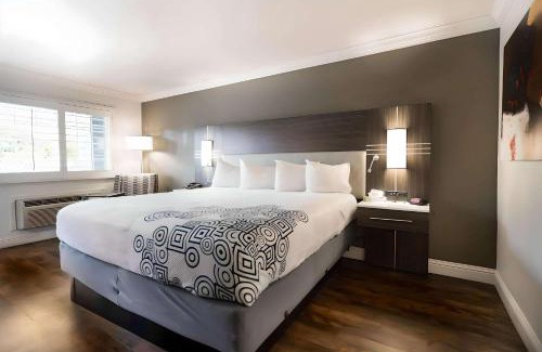 East San Jose Hotel | Rodeway Inn San Jose HWY-101 Tully Rd Exit