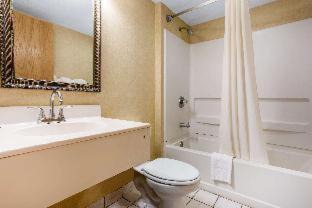 Asheville Hotel | Rodeway Inn & Suites near Outlet Mall - Asheville