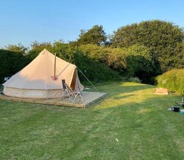 Muston Other | Roe Deer Meadow at Carr House Farm