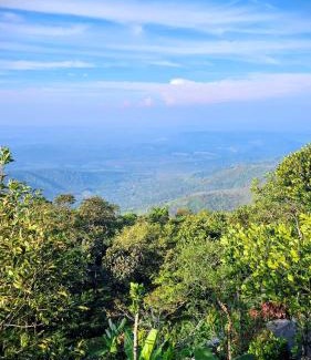 Elappara House | Roley Stone