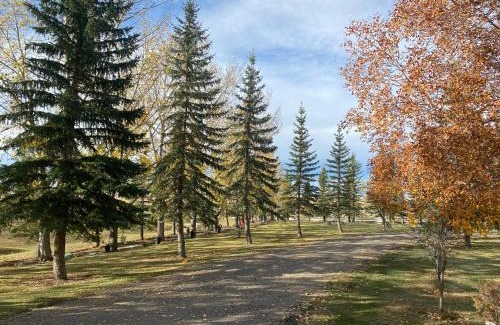 Drumheller Bed & Breakfast | Rolling Hills Country Resort Bed and Breakfast