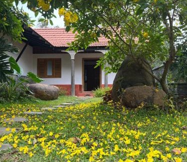 Hosur House | Rollinia by Kilukka Farms