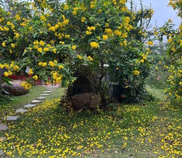 Hosur House | Rollinia by Kilukka Farms