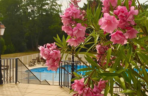 Les Forges Other | Romantic chateau tower apartment
