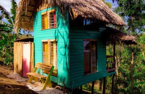 Orange Bay Cabin | Romantic Cottages in Jamaican Hills w/hiking trails and Fruit trees on property