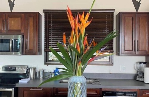Playa Flamingo Villa | Romantic Getaway — Private Pool, Oceanview Guesthouse