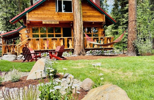 Timberland Cabin | Romantic Log Cabin with Hot Tub-Dog Friendly