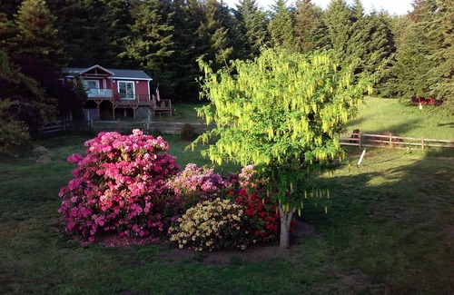 Brookings Cottage | Romantic Ocean View Cottage with Starry Night Sky Gazing!