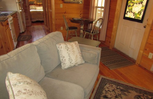 Hot Springs Cabin | Romantic Pet Log Cabin with hot tub, waterfall, wifi, gas grill, firepit creek