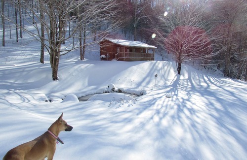 Hot Springs Cabin | Romantic Pet Log Cabin with hot tub, waterfall, wifi, gas grill, firepit creek