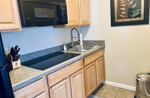 Saugatuck Condo | ROMANTIC TOP FLOOR, DOWNTOWN NESTING w KING BED & WATER VIEW OF MT. BALDHEAD