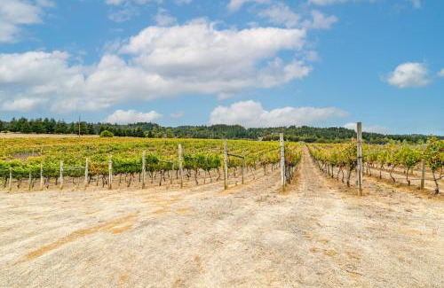 Oakland House | Romantic Vineyard Getaway in Oakland Mtn Views!
