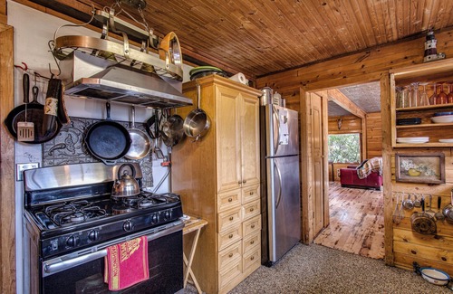 Lummi Island Cabin | Romantic Waterview Island Cabin/Enclosed Hot TUB/Pet Friendly/wood fire n
