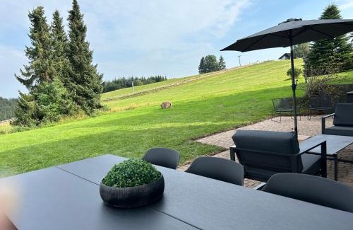 Neuastenberg House | Romantikchalet Neuastenberg/Winterberg