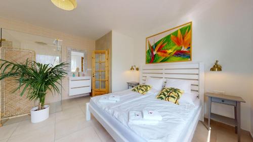 Pezinok Bed & Breakfast | Ron De Mar - FLAMINGO