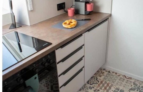 Innenstadt Apartment | Rooftop Arts & Crafts Apartment with 3 Terraces in Augsburg City