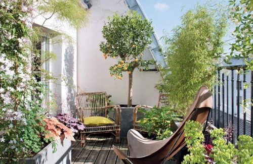 Eckbolsheim Apartment | Rooftop Strasbourgeois