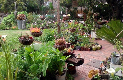 Flamingo Vlei House | Room 1 @ HOMESTAY ON BLOUBERG NATURE RESERVE