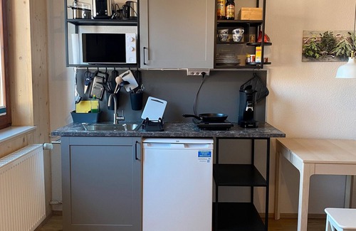 Hilzingen Apartment | Room '2 Einzelzimmer' with Wi-Fi