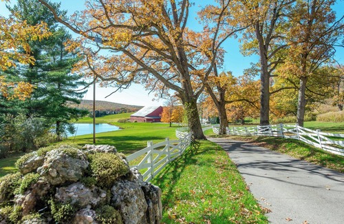 Swanton House | Room 8: Pond View, Lake Access, Private Bath Par-3
