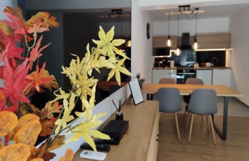 Sopron Apartment | Room in the city 2